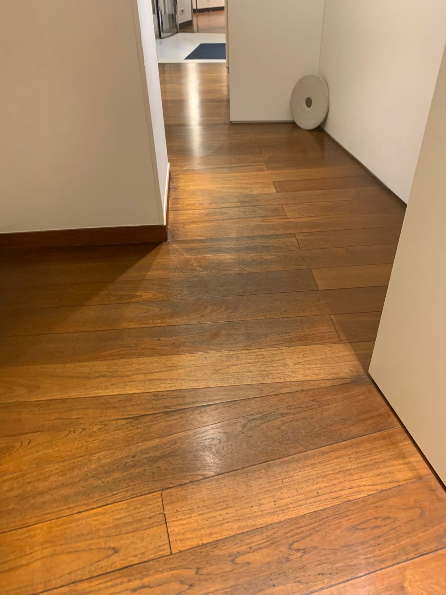 Parquet entretenu